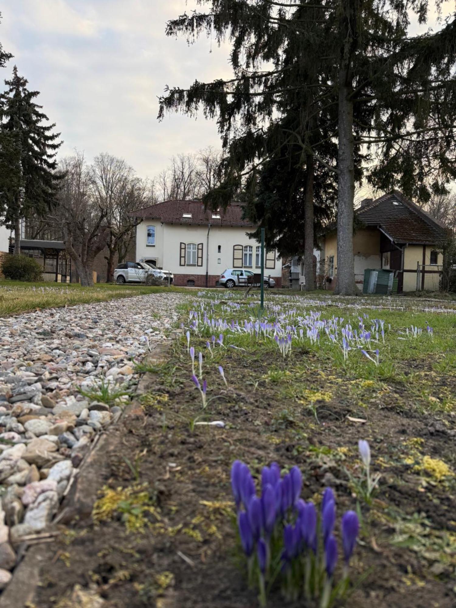 Potsdam Heritage Apartment Exterior photo